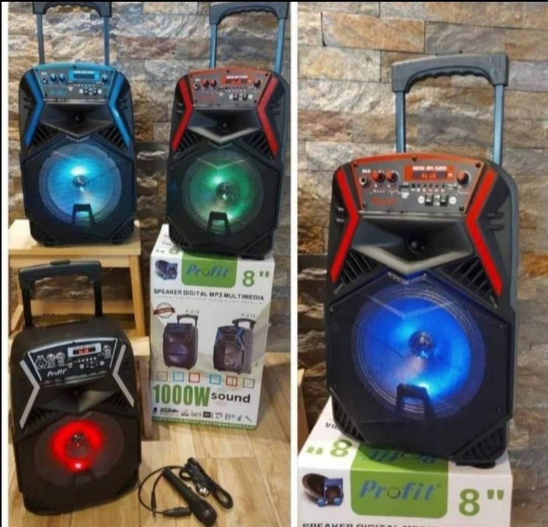 Veliki Bluetooth zvučnik prikazan sa mikrofonom za karaoke.