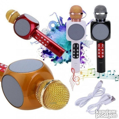 WS-1816 karaoke mikrofon sa USB, SD i AUX ulazima.