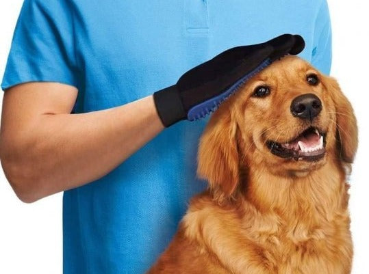 Rukavica za četkanje ljubimca sa silikonskim iglicama.